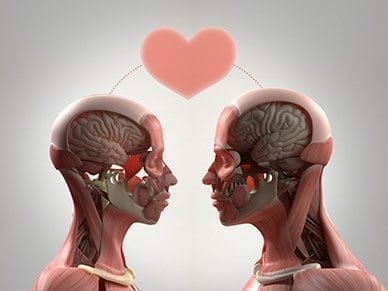 How Sex Affects the Brain